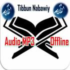 Tibbun Nabawiy icon