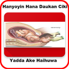 Hanyoyin Hana Daukan Ciki biểu tượng