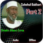 Albani Sahihul Bukhari 2 Zeichen