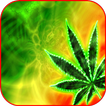 ”Rasta Wallpapers