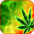 Rasta Wallpapers