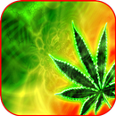 Rasta Wallpaper APK