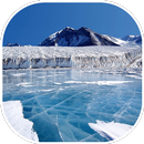 Winter Wallpaper APK