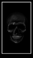 Skull HD Wallpapers 스크린샷 3