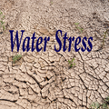 Water Stress