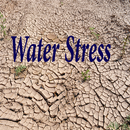 Water Stress APK