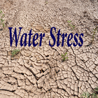 Water Stress ไอคอน