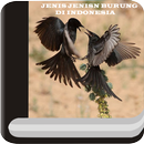 Jenis Burung Di Indonesia APK