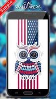 Owl Wallpaper Affiche