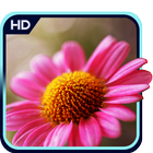 Flower 3D Wallpaper icon