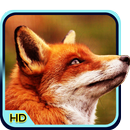 Fox 3D Wallpaper APK