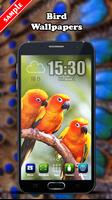 Bird Wallpaper পোস্টার