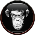 Monkey Wallpaper
