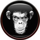 Monkey Wallpaper APK