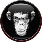Monkey Wallpaper 아이콘