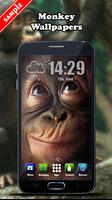 Monkey Wallpaper 스크린샷 3