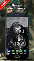 Monkey Wallpaper 포스터