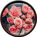 APK Flower Wallpaper