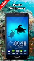 Turtle Wallpaper ภาพหน้าจอ 3