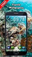 Turtle Wallpaper โปสเตอร์