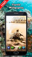 Turtle Wallpaper ภาพหน้าจอ 1