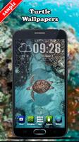 Turtle Wallpaper ภาพหน้าจอ 2