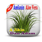 Amfanin Aloe Vera A Jikin Dan icône