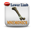 Lower Limb Mnemonics APK