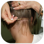 Natural remedy for lice ícone