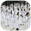 guide sport karate