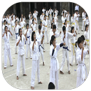 guide sport karate APK