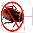 How to Get Rid of Roaches