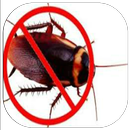 How to Get Rid of Roaches aplikacja