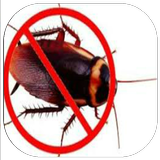 How to Get Rid of Roaches icon