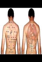 guide hijama ảnh chụp màn hình 1