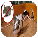 get rid of Mice House aplikacja