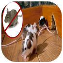 get rid of Mice House APK