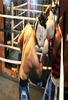 BOX  sport imagem de tela 1