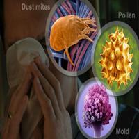 Allergic disease poster