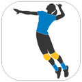 Play Volleyball