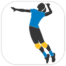 Play Volleyball APK
