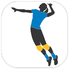 Play Volleyball icon