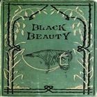 Story Of Black Beauty アイコン