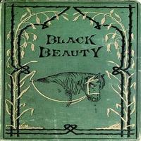 Story Of Black Beauty ポスター