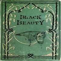Poster Story Of Black Beauty