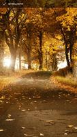 Backgrounds For Android ảnh chụp màn hình 3