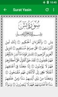 Surat Yasin captura de pantalla 1