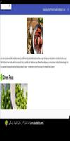 High Protein Foods for Weight Loss ภาพหน้าจอ 3
