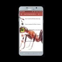 How To Get Rid Of Ants And Flies Screenshot 3