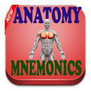 USMLE Step 1 Anatomy Mnemonics APK